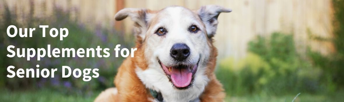 Natural supplements clearance for senior dogs