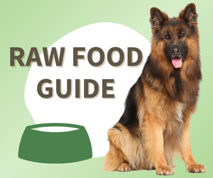 Quick Raw Food Guide Visual