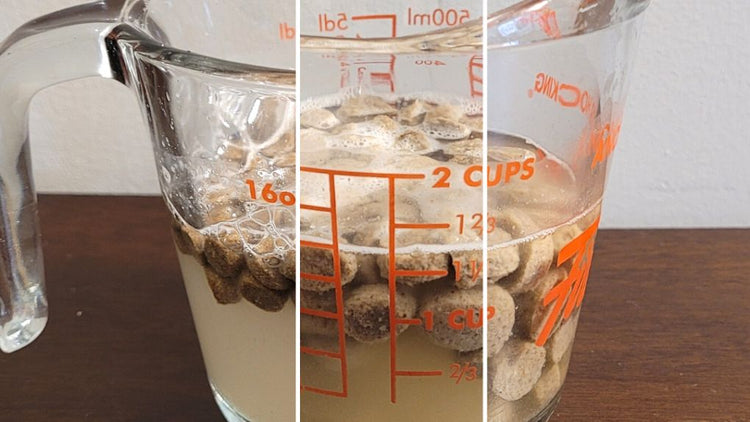 Should you soak your dog's food?