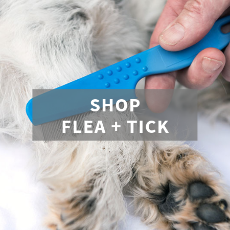 Dog flea treatment near cheap me