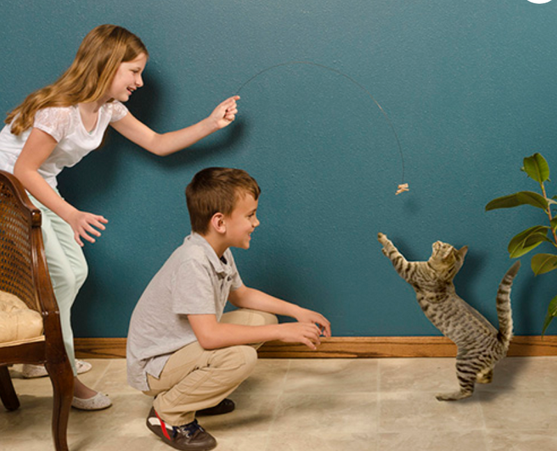 Load image into Gallery viewer, Cat Dancer Wire Cat Toy
