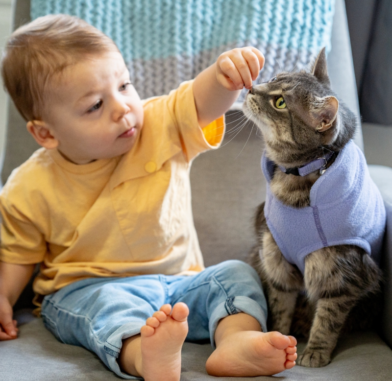 Load image into Gallery viewer, RC Baseline Fleece Lilac/Purple