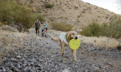 Load image into Gallery viewer, Ruffwear Camp Flyer Toy - Discover Dogs