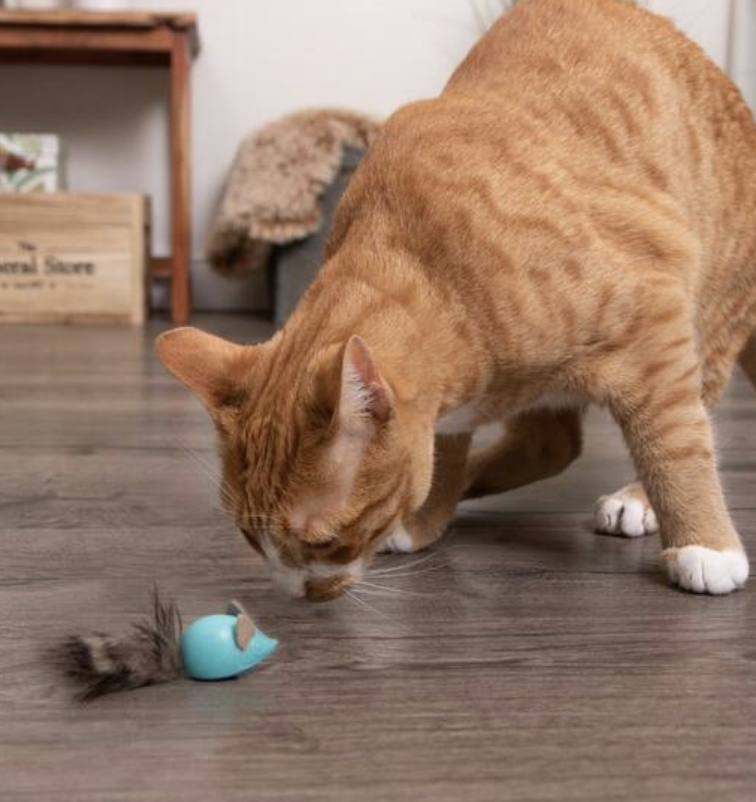 Load image into Gallery viewer, Instincts Rolling Marble Raccoon Cat Toy