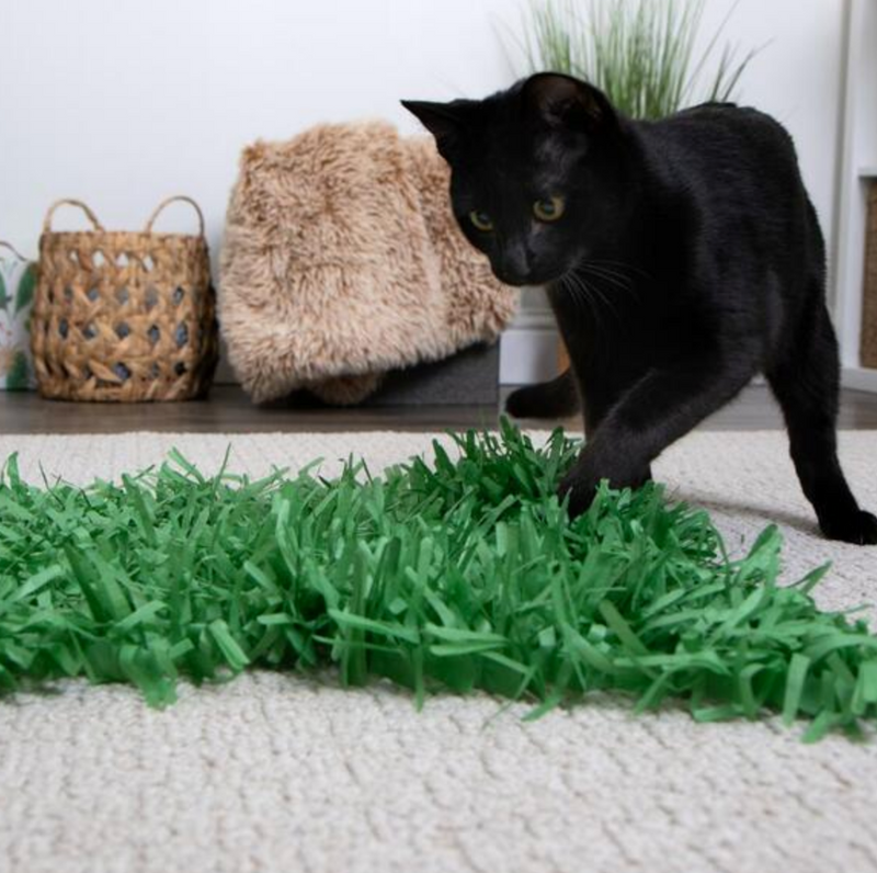 Load image into Gallery viewer, Instincts Paper Grass Hide & Seek Cat Mat 2PK