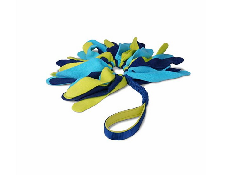 Load image into Gallery viewer, Coachi Play Tuggi Spider