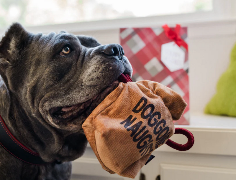 Load image into Gallery viewer, PLAY Holiday Bag of Coal