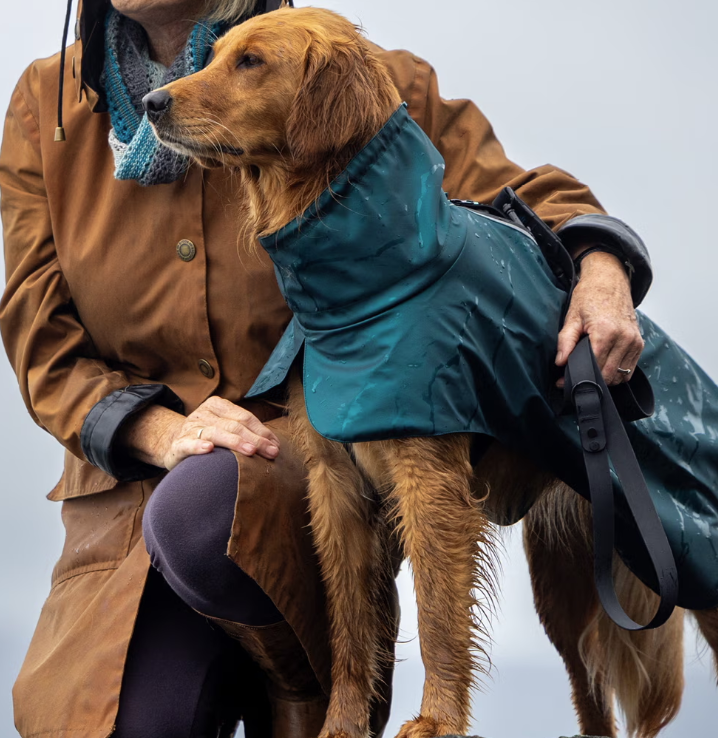 Load image into Gallery viewer, RC Stormrunner Jacket Deep Sea