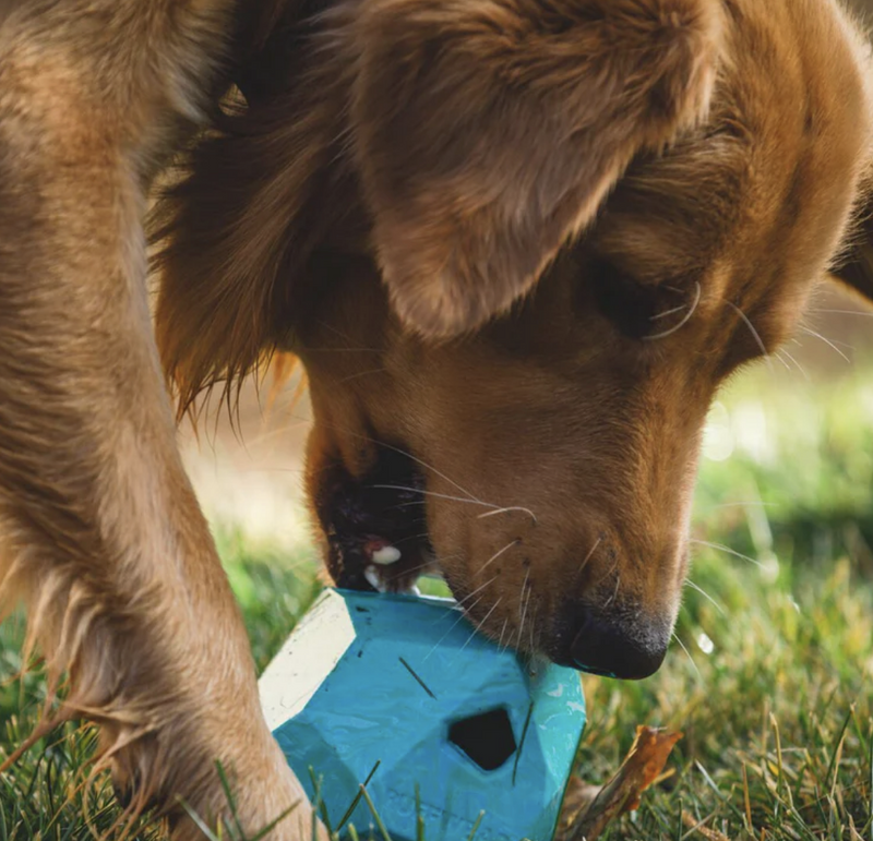 Load image into Gallery viewer, Ruffwear Gnawt-A-Rock
