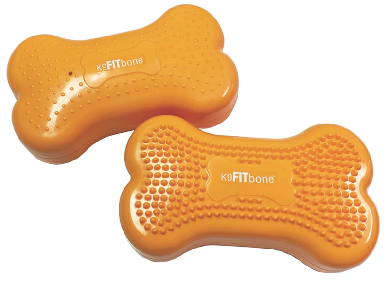 Load image into Gallery viewer, FitPAWS K9 FITbone - Discover Dogs