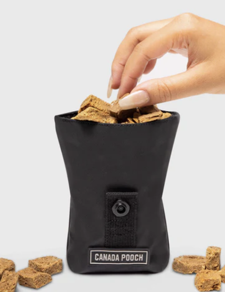 Load image into Gallery viewer, Canada Pooch Handsfree Core Treat Pouch