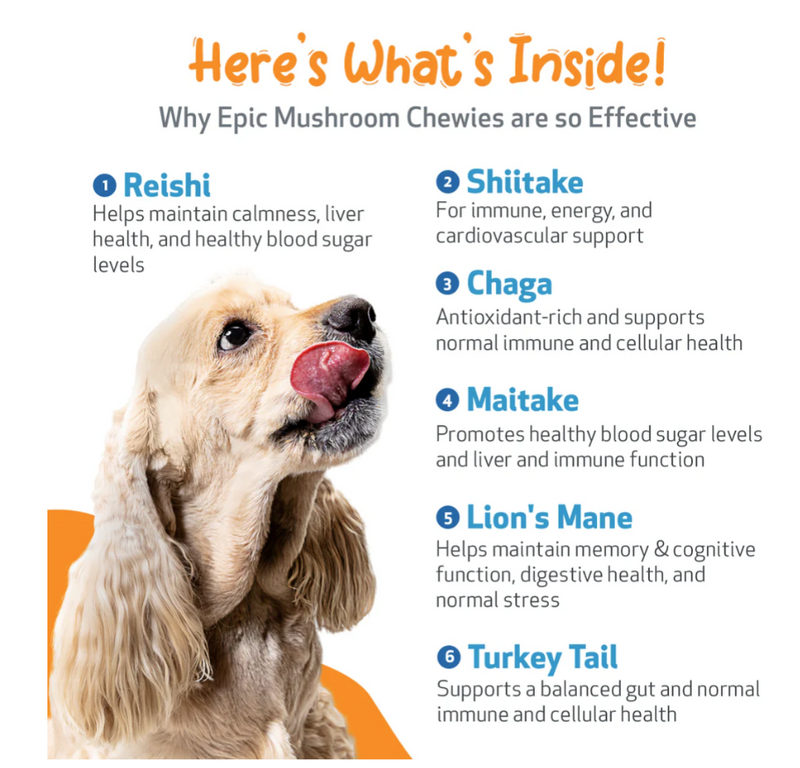 Load image into Gallery viewer, Pet Wellbeing Epic Mushroom Chewies for Immune Health and Cognitive Function in Dogs - Discover Dogs