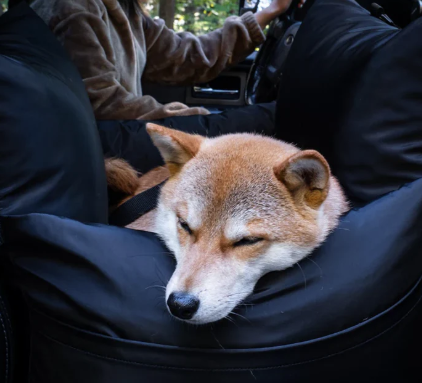 Load image into Gallery viewer, 4 Cats & Dogs Macro Travel Pet Bed
