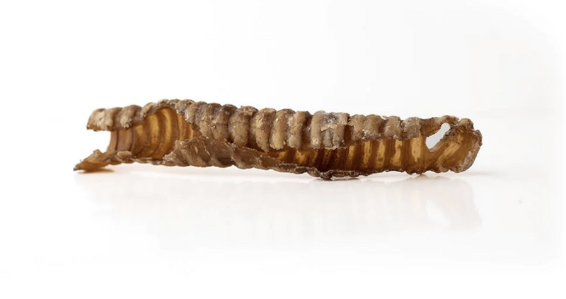 Load image into Gallery viewer, Only One Treats Lamb Trachea