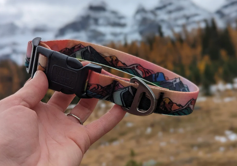 Load image into Gallery viewer, Woof & Stuff Sunrise Waterproof Collar