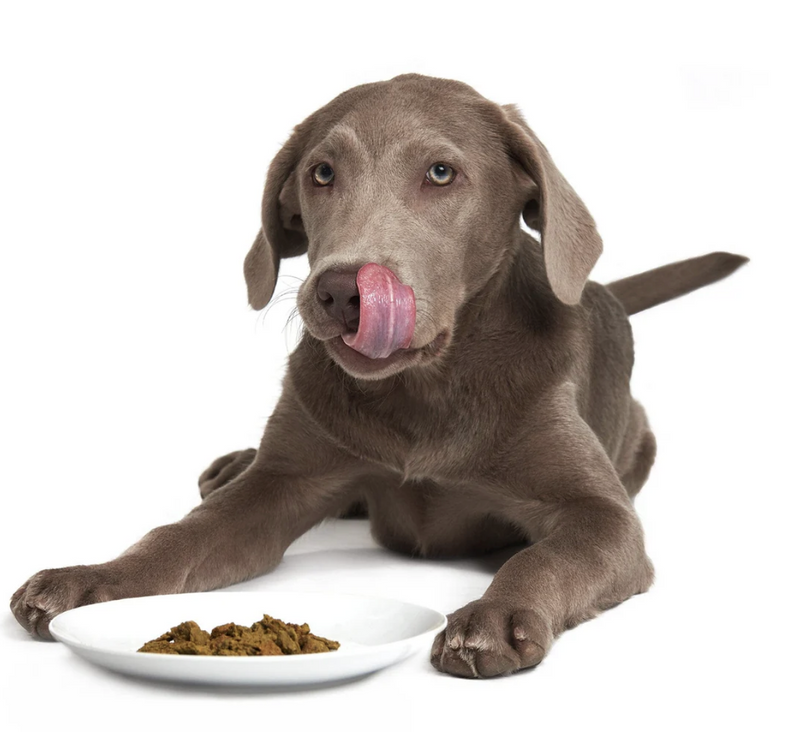 Load image into Gallery viewer, Smack Lip Smacking Lamb
