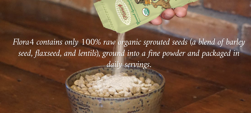 Load image into Gallery viewer, Carna4 Original Flora4 Sprouted Seed Topper - Discover Dogs