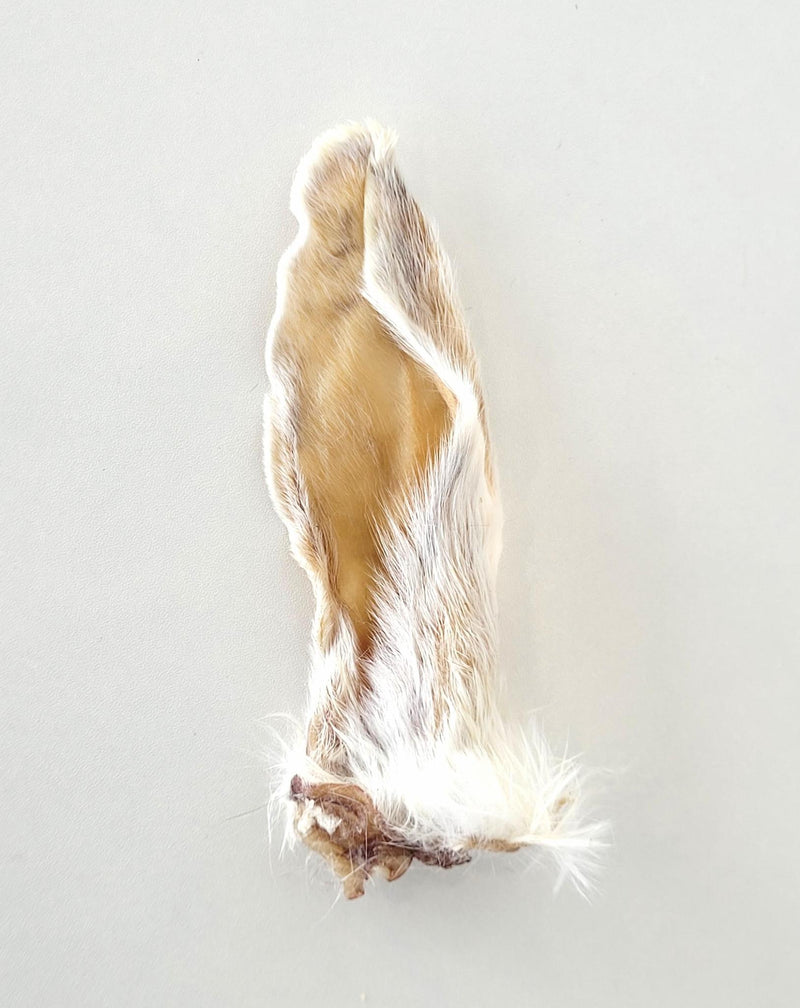 Load image into Gallery viewer, Grand Valley Rabbit Ear