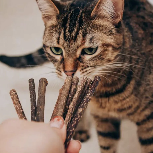 Load image into Gallery viewer, Only One Treats Silvervine Cat Treat Stick