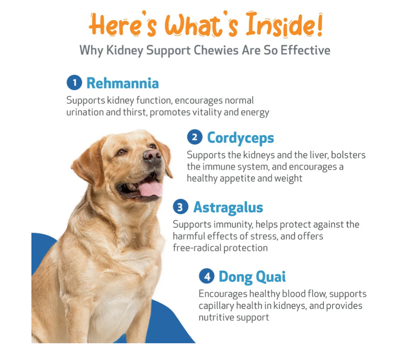 Load image into Gallery viewer, Pet Wellbeing Kidney Support Chewies Fluid Balance and Kidney Health for Dogs