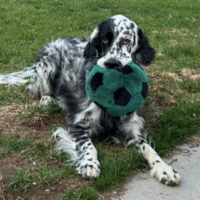 Load image into Gallery viewer, Fluff & Tuff Soccer Ball 7''