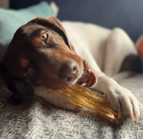 Load image into Gallery viewer, Wag & Bright Mighty Marrows Collagen Dental Chews Pork & Parsley