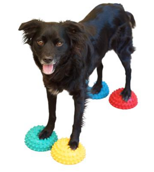 FitPaws Paw Pods with Anti-Skid Bottoms (Set of 4)