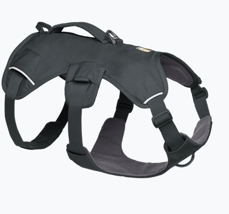 Load image into Gallery viewer, Ruffwear Web Master Basalt Gray