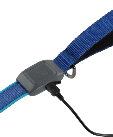 Load image into Gallery viewer, Nite Ize NiteDog Rechargeable LED Leash