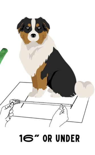 Load image into Gallery viewer, BuddyRider Series 2