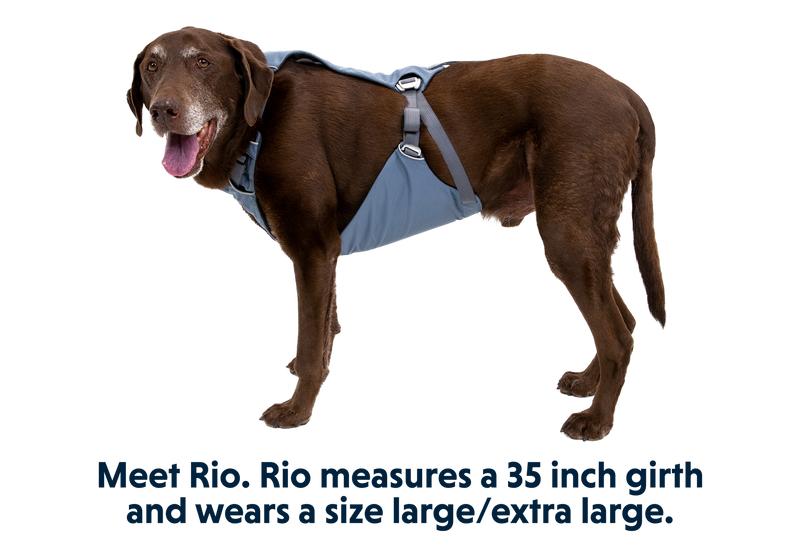 Load image into Gallery viewer, Ruffwear Load Up Car Harness