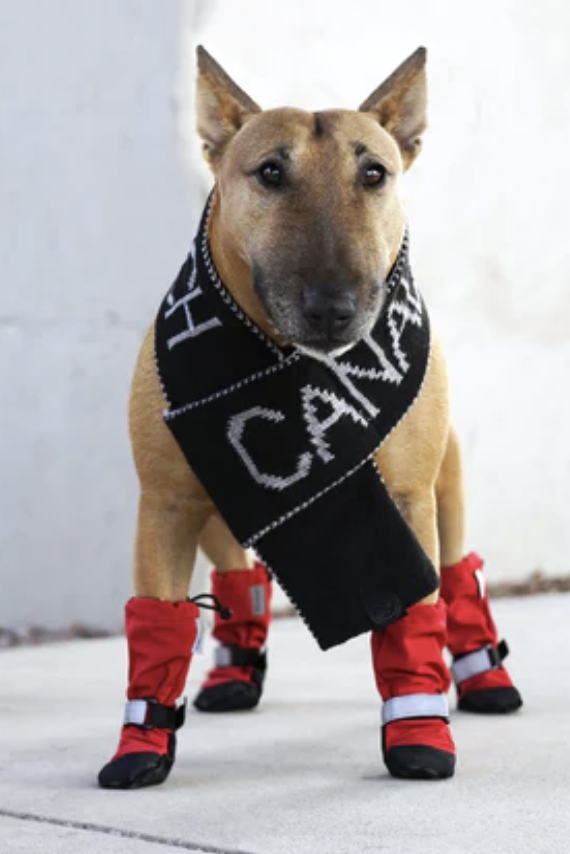 Load image into Gallery viewer, Canada Pooch Soft Shield Boots Red
