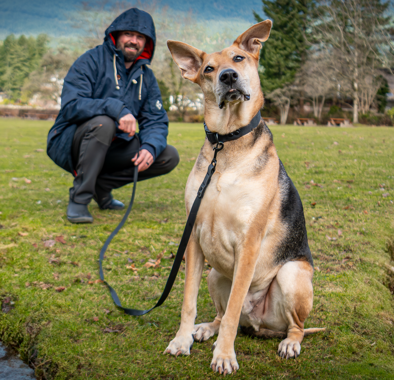 Load image into Gallery viewer, RC Pets Waterproof Collar Black