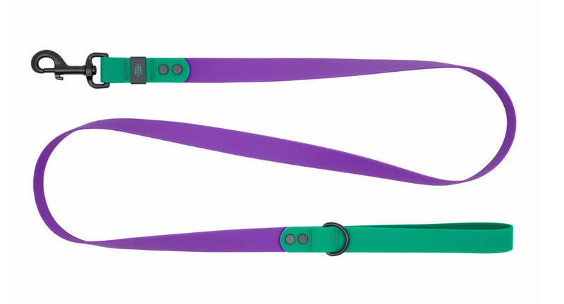 Load image into Gallery viewer, RC Pets Waterproof Leash 5' x 1''