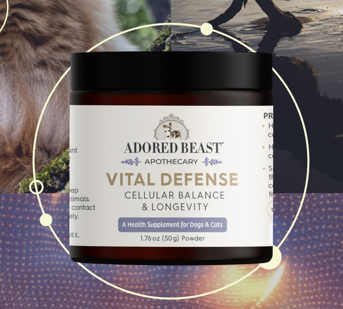 Load image into Gallery viewer, Adored Beast Vital Defense 50g