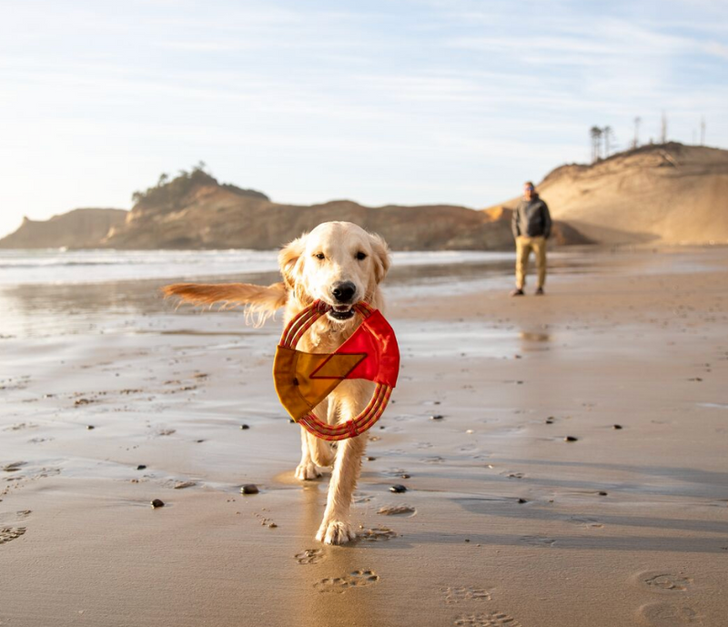 Load image into Gallery viewer, Ruffwear Pacific Ring Toy