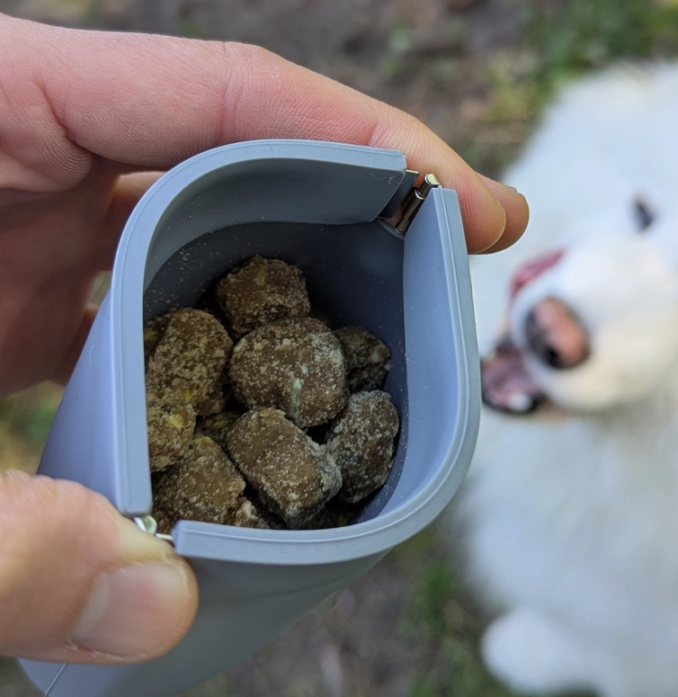 Load image into Gallery viewer, Up Dog Treat Pouch - Discover Dogs