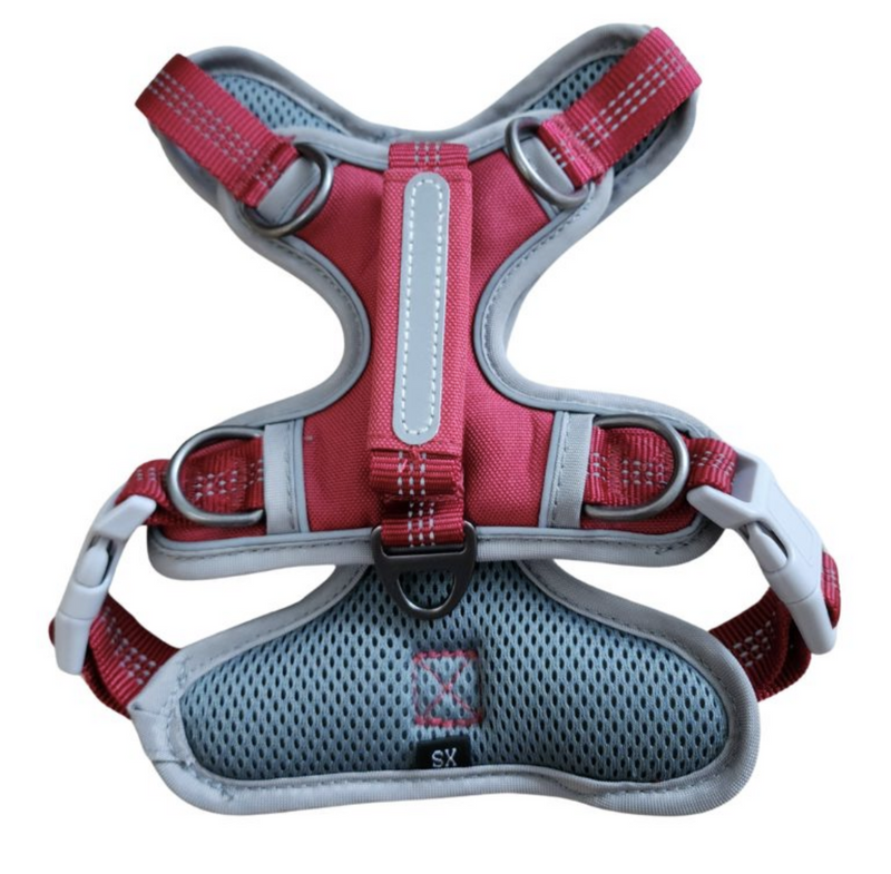 Load image into Gallery viewer, BuddyRider Harness Red