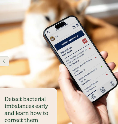 Load image into Gallery viewer, Animal Biome Gut Microbiome Health Test for Dogs