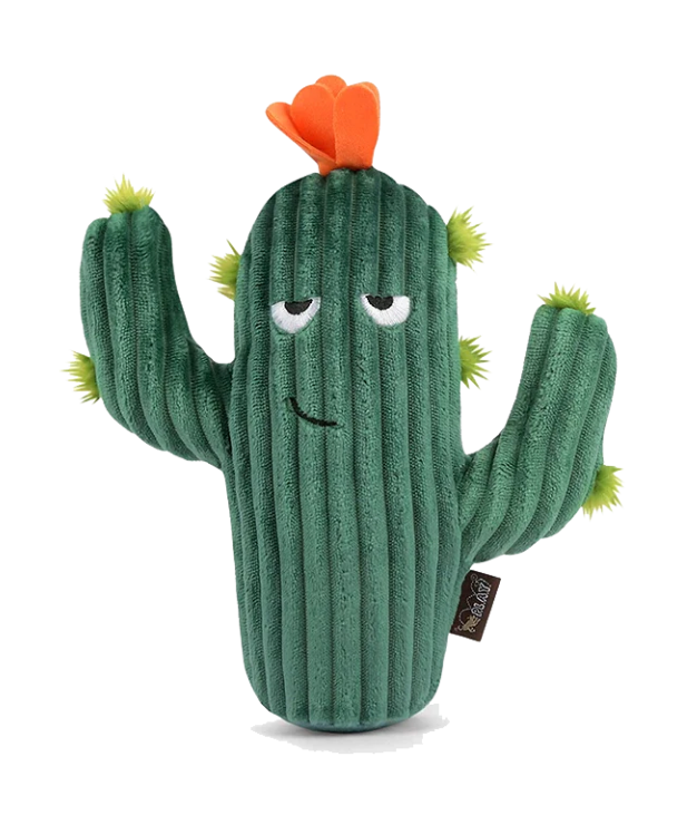 Load image into Gallery viewer, PLAY Blooming Buddies Prickly Pup Cactus