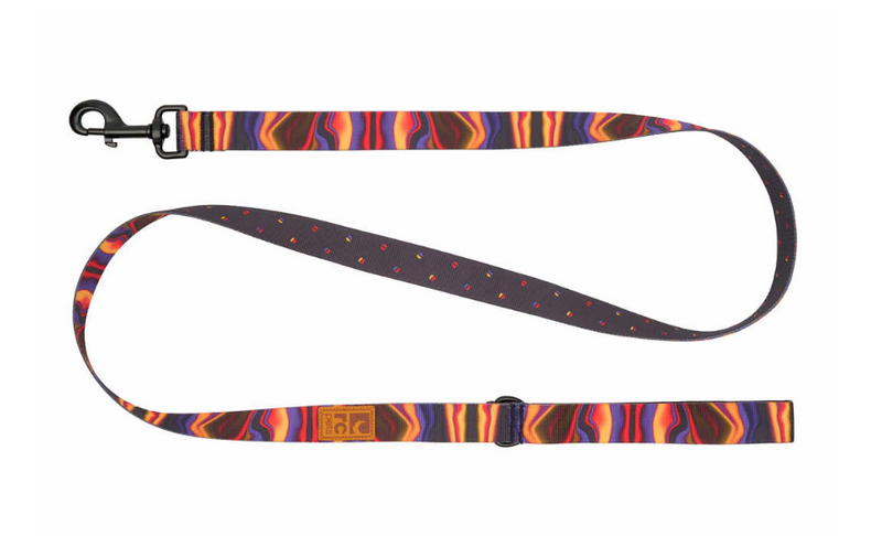 Load image into Gallery viewer, RC Eco Leash 5' x 1''