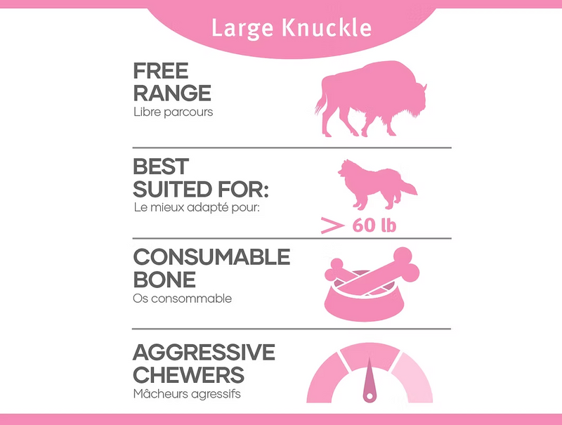 Load image into Gallery viewer, RDBK Bison Knuckle - Discover Dogs