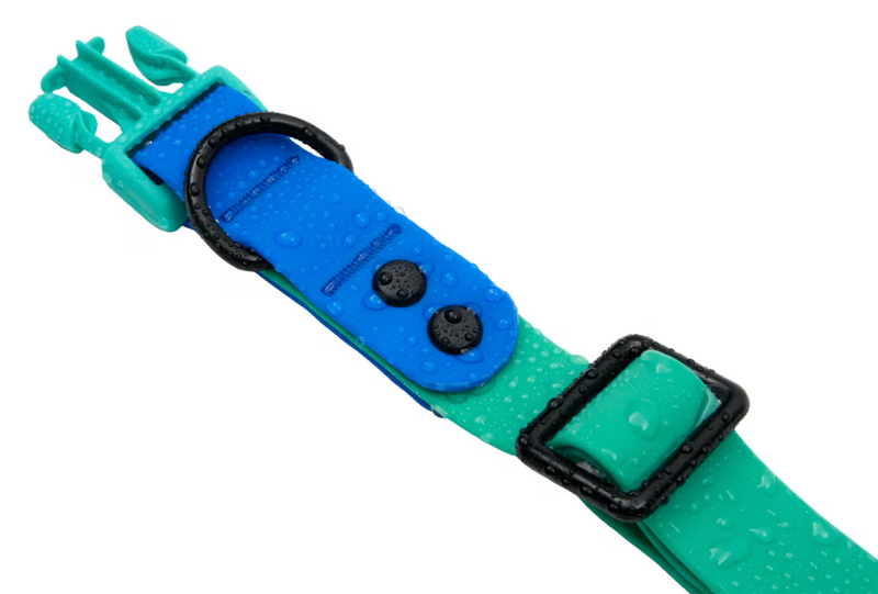 Load image into Gallery viewer, RC Pets Waterproof Collar Parakeet/Sapphire