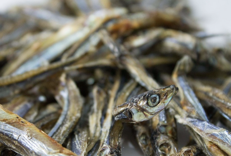 Load image into Gallery viewer, Only One Treats Sardines 150g