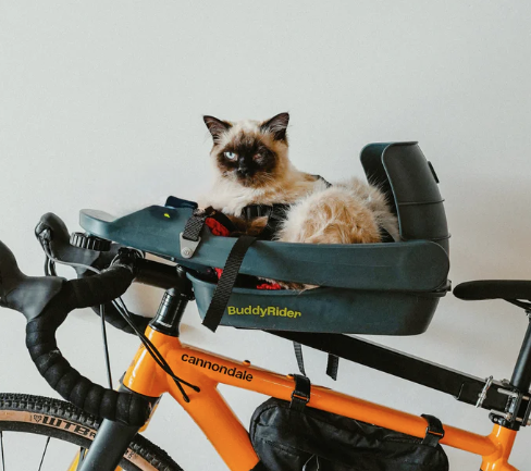 Load image into Gallery viewer, BuddyRider Series 2