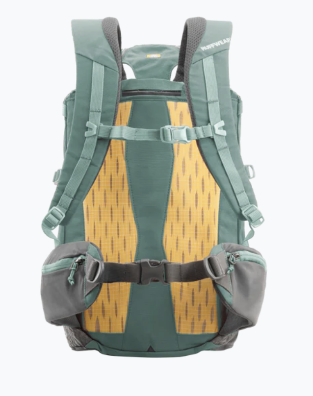 Load image into Gallery viewer, Ruffwear Hitch Hiker Dog Backpack Carrier River Rock Green