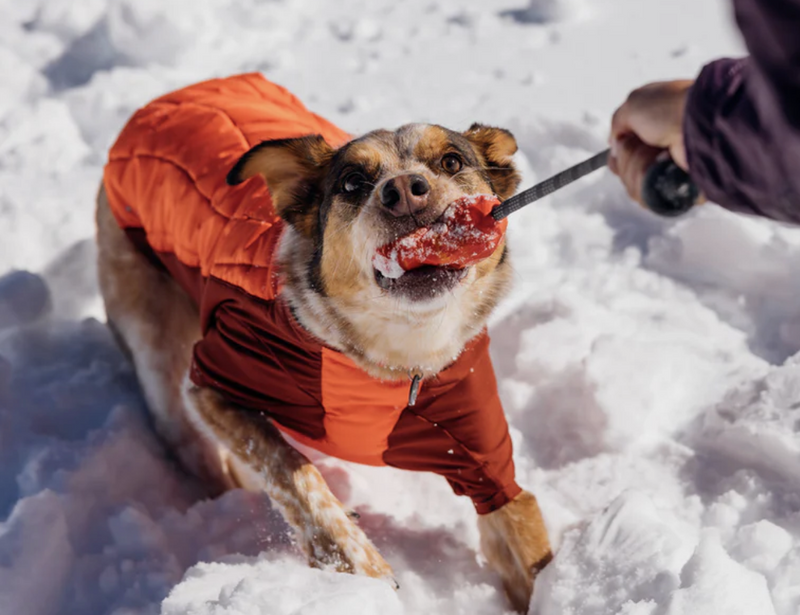 Load image into Gallery viewer, Ruffwear Huck-A-Cone