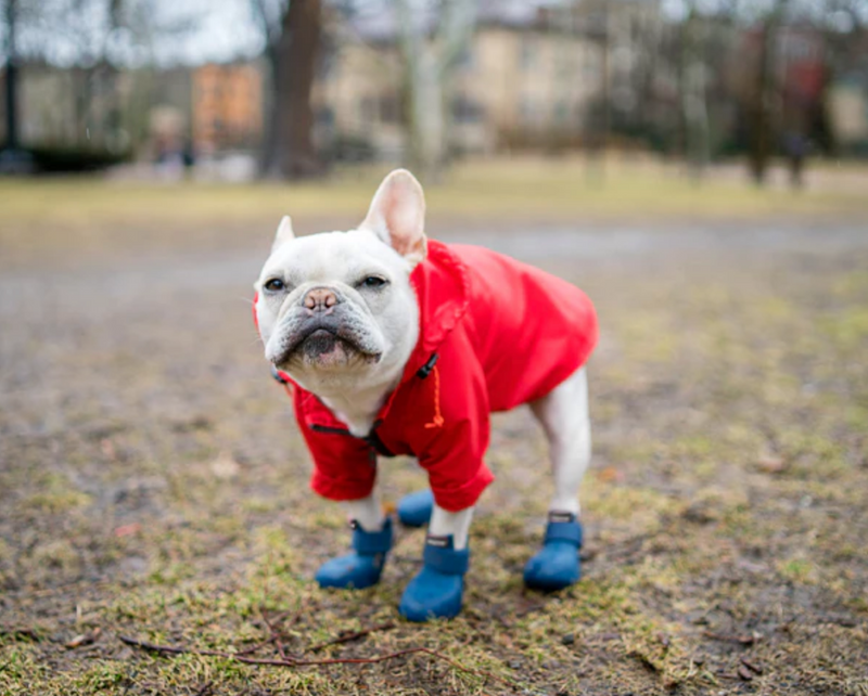 Load image into Gallery viewer, Wagwear WagWellies Boots Red