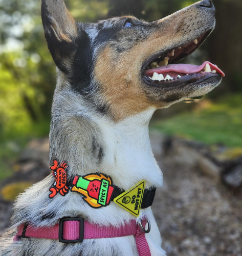 Load image into Gallery viewer, Jiby Dog Charm Spicy AF