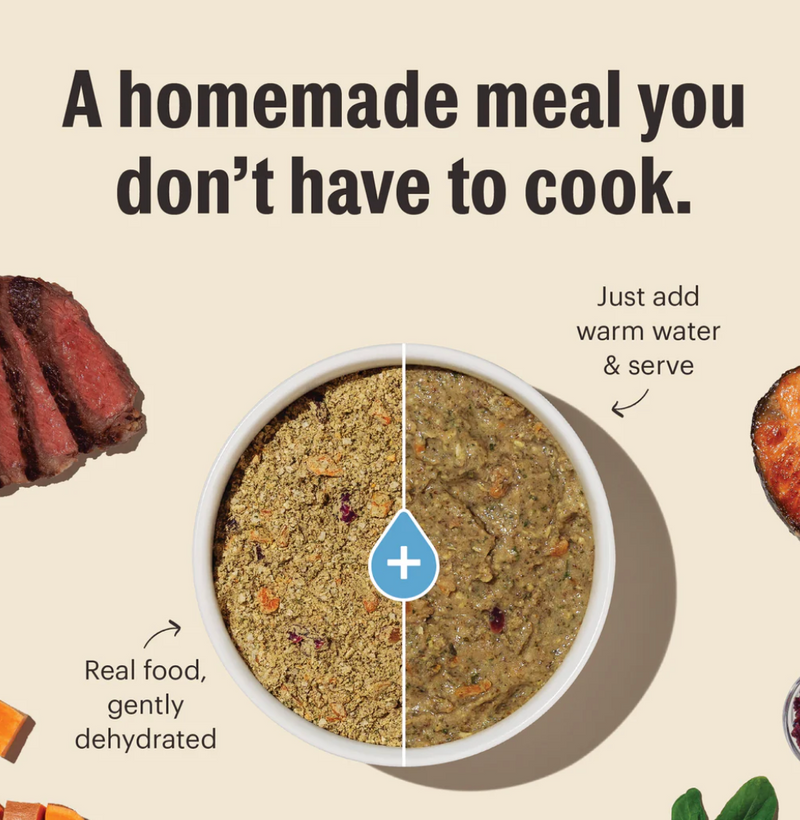 Load image into Gallery viewer, Honest Kitchen Dehydrated Grain-Free Chicken - Discover Dogs